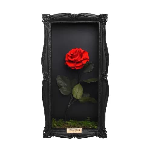 Wall Frame_Black_Single Rose