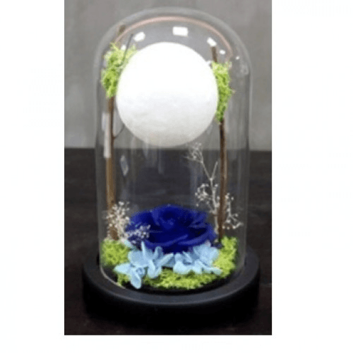 Dark Blue Rose With Ball Light In A Glass Dome