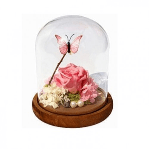 Pink Butterfly Rose In A Glass Dome