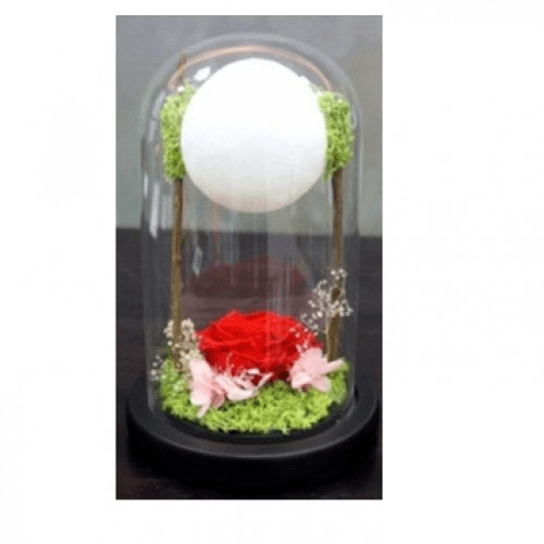 Red Rose With Ball Light In A Glass Dome