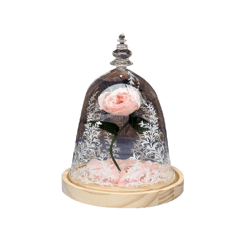 Beauty And The Beast Rose With Fallen Petals In A Glass Dome