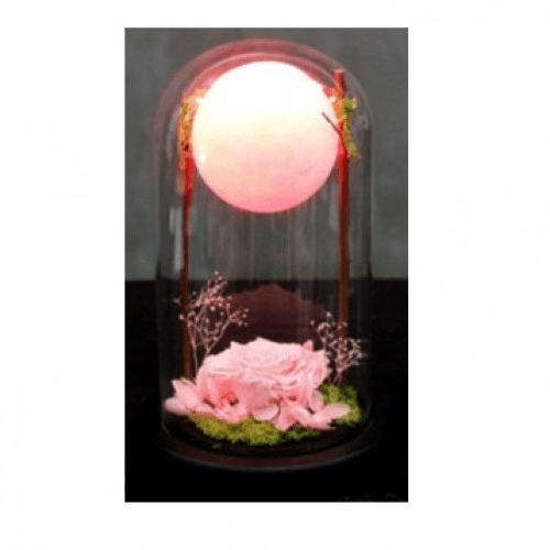 Pink Rose With Ball Light In A Glass Dome