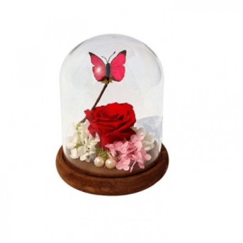 Red Butterfly Rose In A Glass Dome