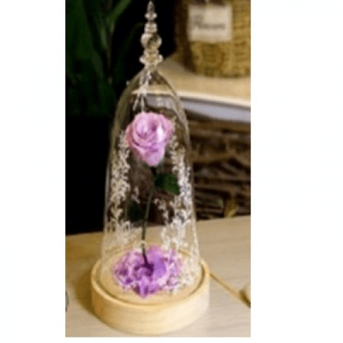 Beauty And The Beast Rose With Fallen Petals In A Glass Dome