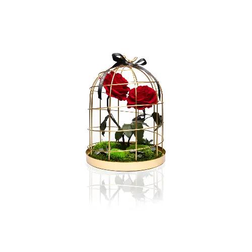 Bird Cage - Large Classic Red