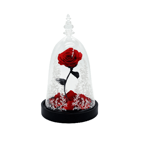 Beauty And The Beast Rose With Fallen Petals In A Glass Dome