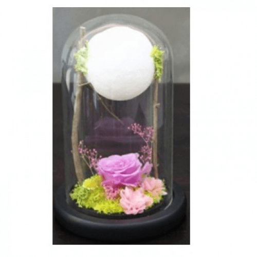 White Rose With Ball Light In A Glass Dome