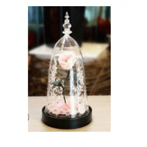 Beauty And The Beast Rose With Fallen Petals In A Glass Dome