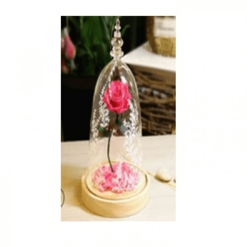 Beauty And The Beast Rose With Fallen Petals In A Glass Dome