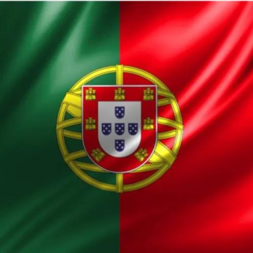 Portugal Flag With Stick 60x86cm (Large)