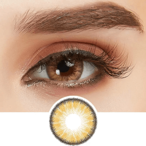 Beauty Color Contact Lenses: Dark Hazel (Daily)