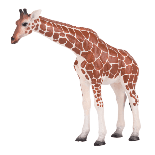 Giraffe Female - 921790