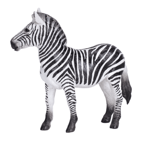 Zebra Mare - 921793