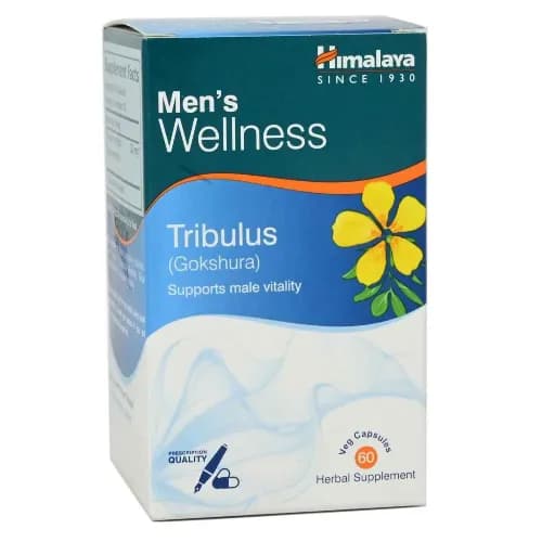 Men'S Wellness