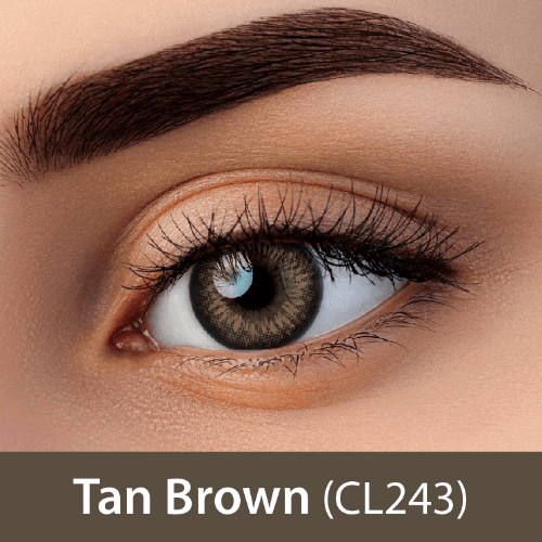 Clearcolor Daily Sphere Tan Brown Cl243-10 Blisters / Box