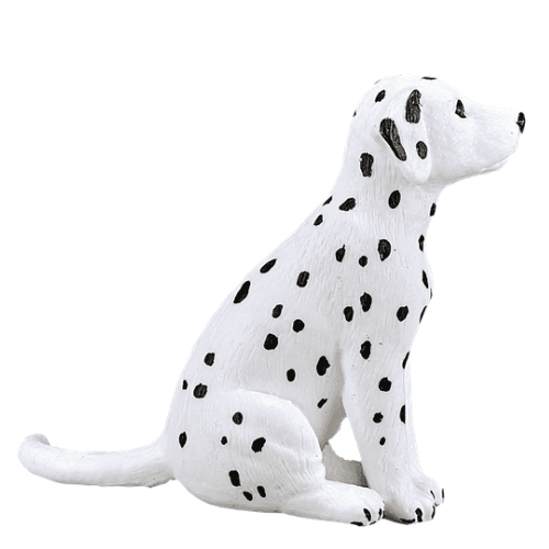 Dalmatian Puppy