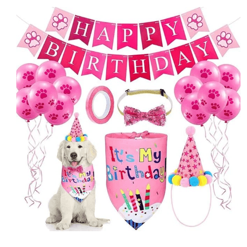 Pink Birthday Party Props Set