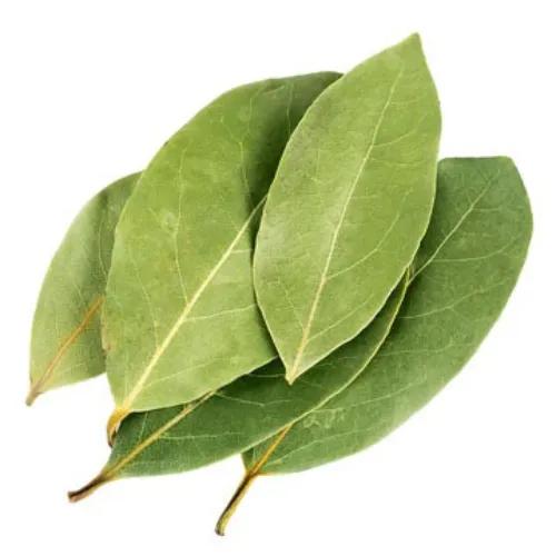 Chittulli Spices Bay Leaves 50 Gr