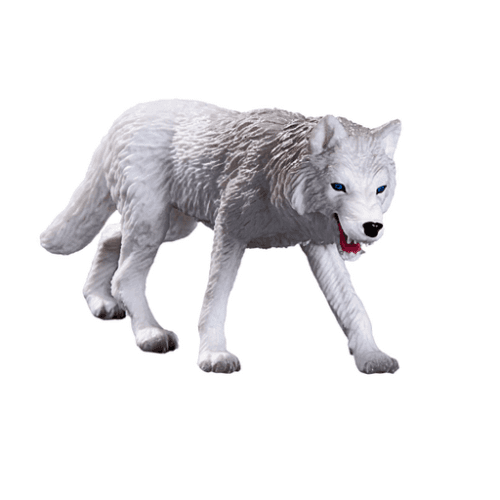 Arctic Wolf - 921813