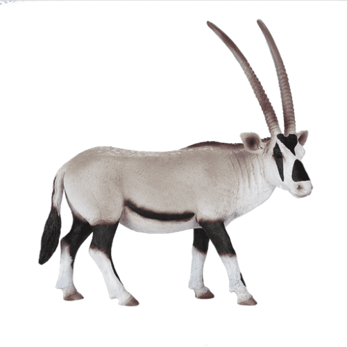 Arabian Oryx