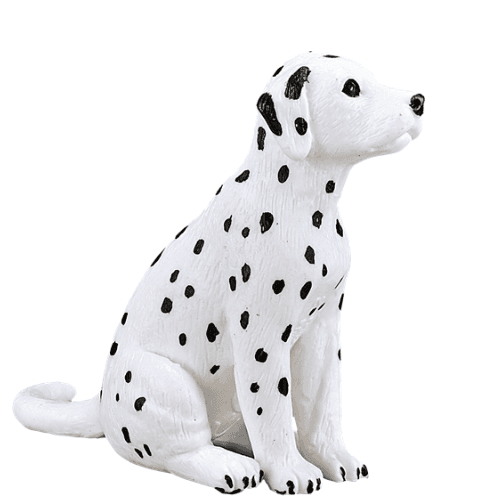 Dalmatian Puppy