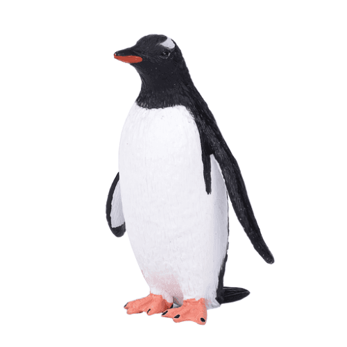 Gentoo Penguin - 921820