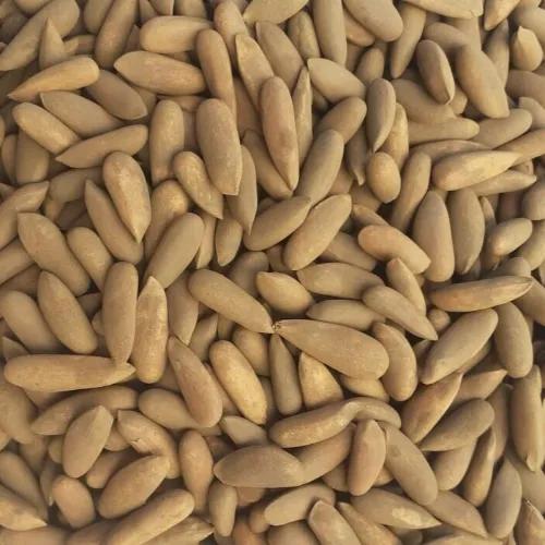 Chittulli Spices Raw Pine Nuts 50 Gr