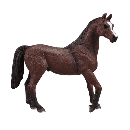 Arabian Stallion Chestnut - 921817