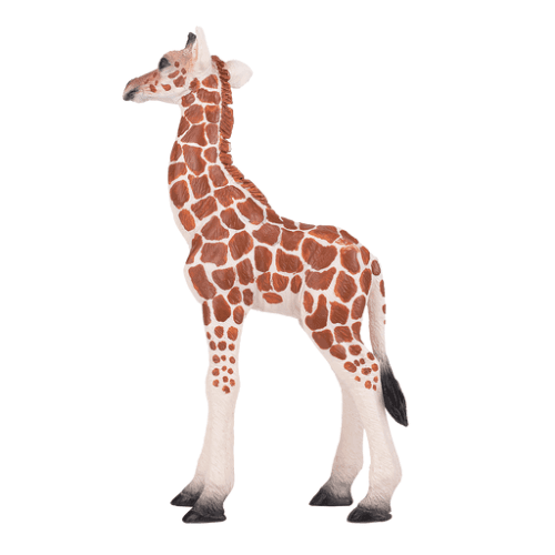 Giraffe Calf - 921791