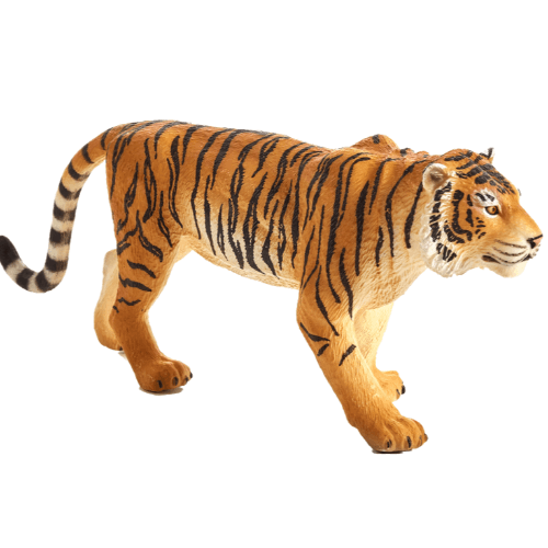 Bengal Tiger