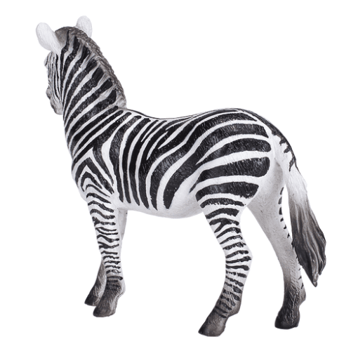 Zebra Mare - 921793