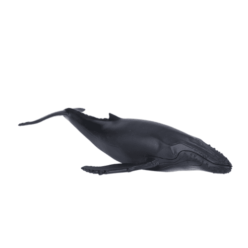 Humpback Whale - 921819