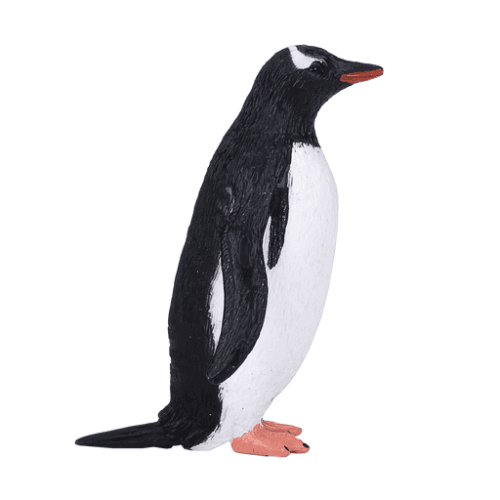 Gentoo Penguin - 921820