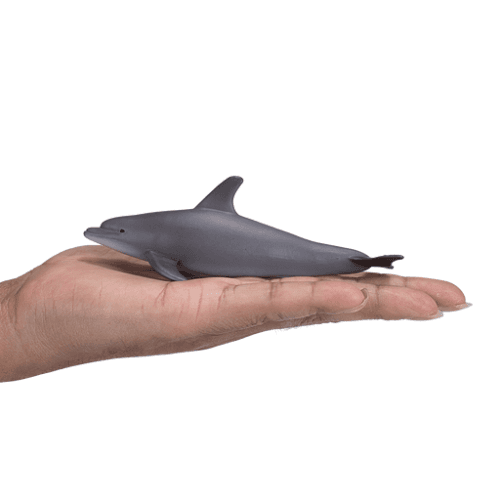 Bottlenose Dolphin - 921818