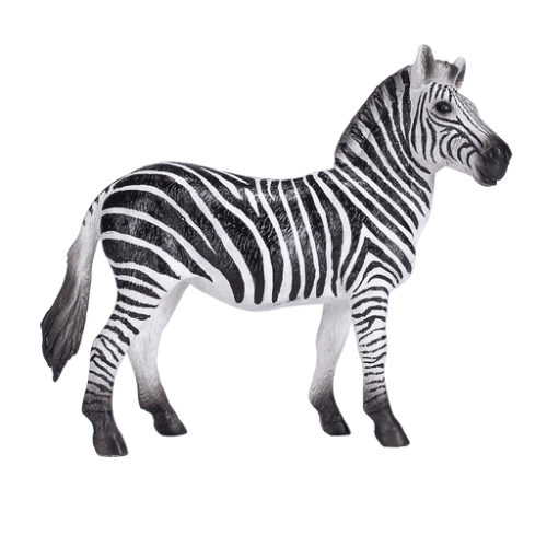 Zebra Mare - 921793