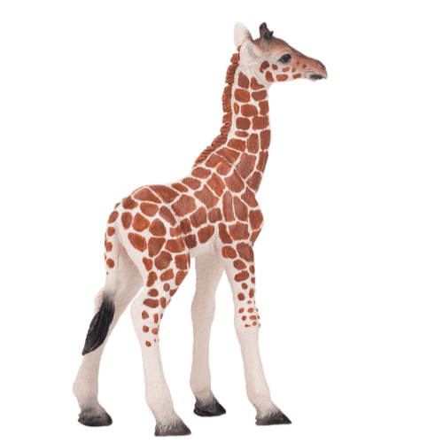 Giraffe Calf - 921791