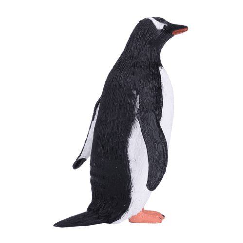 Gentoo Penguin - 921820