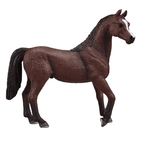 Arabian Stallion Chestnut - 921817