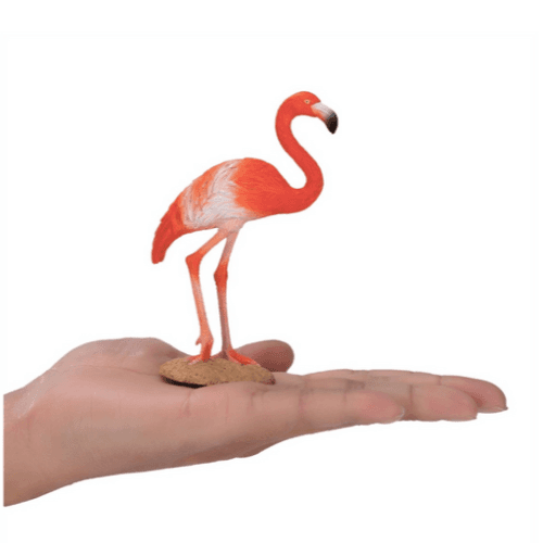 American Flamingo - 921811