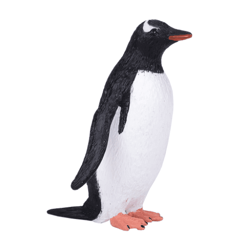 Gentoo Penguin - 921820