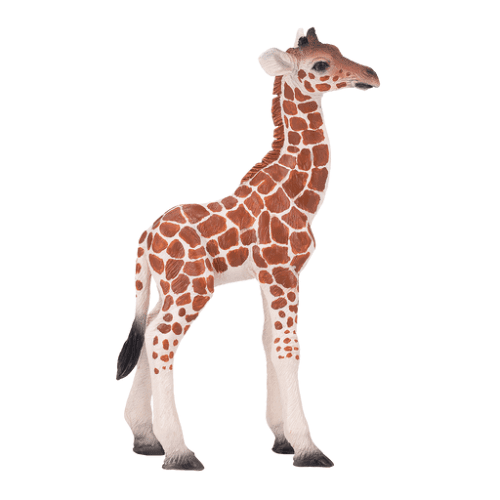 Giraffe Calf - 921791