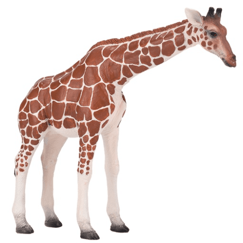 Giraffe Female - 921790