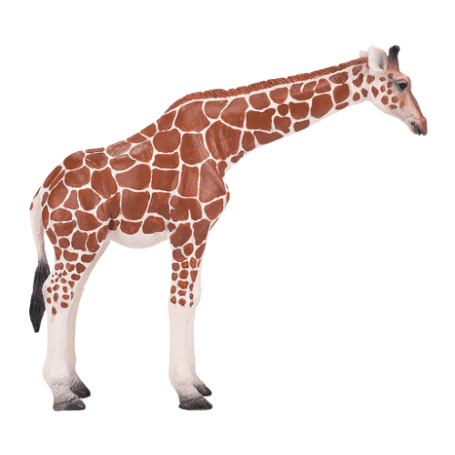 Giraffe Female - 921790