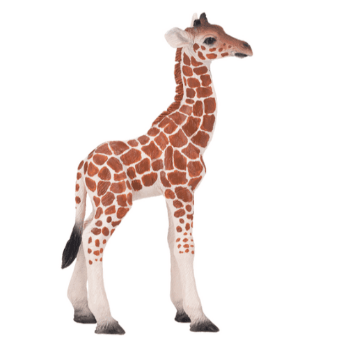 Giraffe Calf - 921791