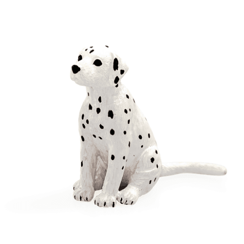 Dalmatian Puppy