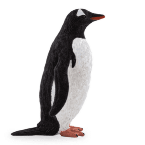 Gentoo Penguin - 921820