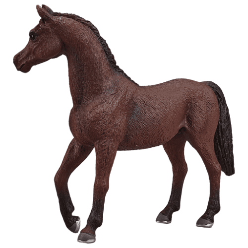 Arabian Stallion Chestnut - 921817