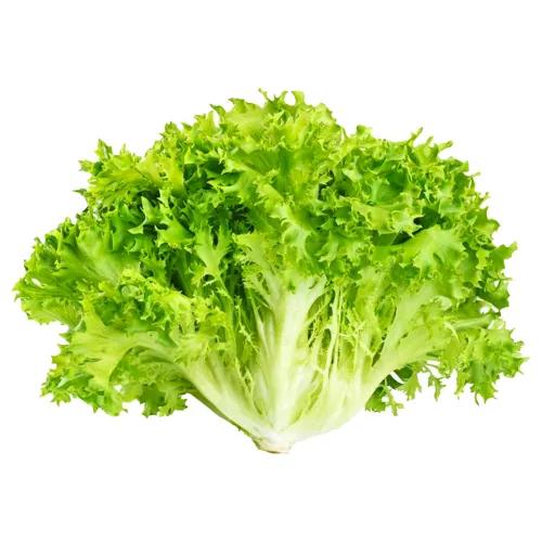 Lettuce Frisee Green 1 Piece