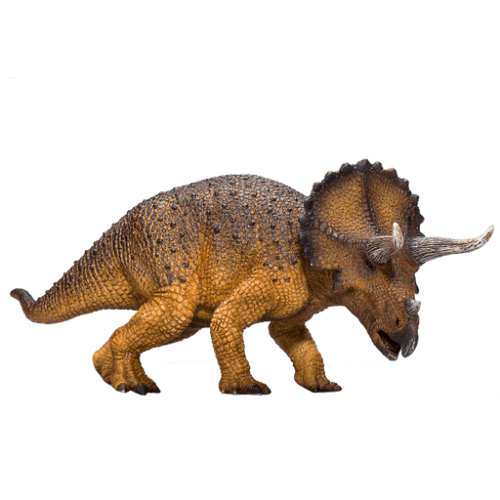 Triceratops