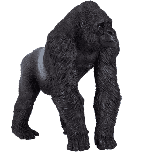 Gorilla Male Silverback - 921812